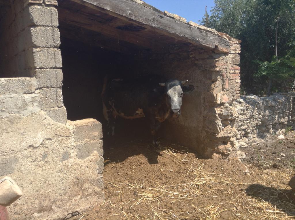 Antico Frantoio Villa Cerchiara di Calabria Buitenkant foto